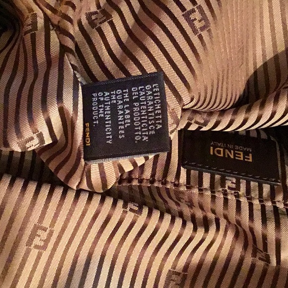 Fendi chameleon handbag - Picture 10 of 14